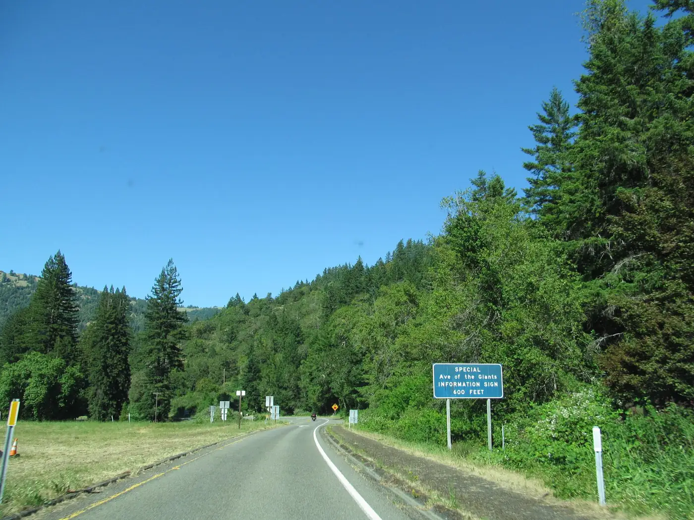 Highway 101 approaching the Avenue of the Giants near Garberville, conifer ridges under a clear blue sky