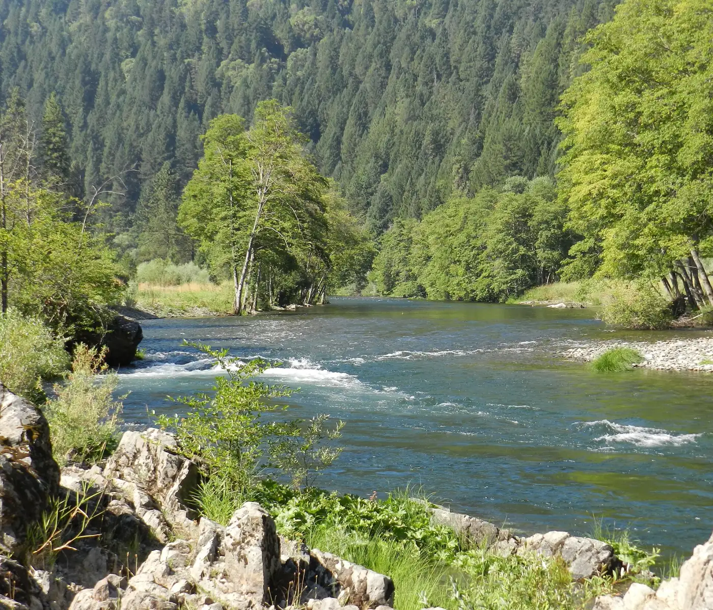 The Trinity River running green and fast between rocky banks and steep conifer slopes